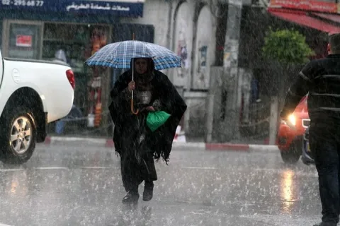 الأرصاد تكشف طقس الجزائر غدًا 28 يناير 2026.. درجات الحرارة وحالة الجو بالتفصيل