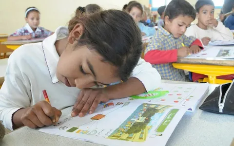 استعلم الآن عن نتائج النقل 2026 لجميع الصفوف عبر بوابة التعليم الأساسي برقم الجلوس