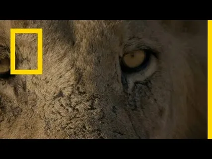 تابع أروع المغامرات والاكتشافات.. أحدث تردد قناة ناشيونال جيوغرافيك أبوظبي 2026