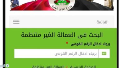 منحة رمضان 2026 للعمالة الغير منتظمة.. استعلم الآن بالرقم القومي عبر manpower.gov.eg