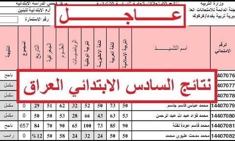 استعلم الآن فوراً.. نتائج التمهيدي السادس الابتدائي 2026 لكل المحافظات برقمك الامتحاني
