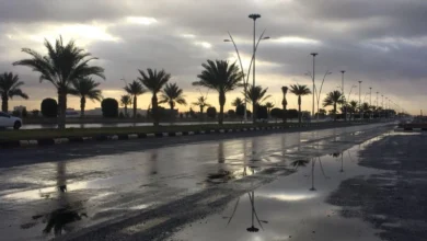 حالة الطقس في المملكة الخميس.. ضباب ورياح مثيرة للأتربة والغبار على عدة مناطق