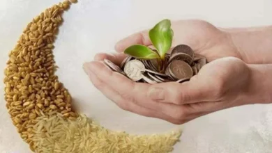 زكاة عيد الفطر 2026 في مصر.. كم قيمتها ومن يستحقها وآخر ميعاد للإخراج