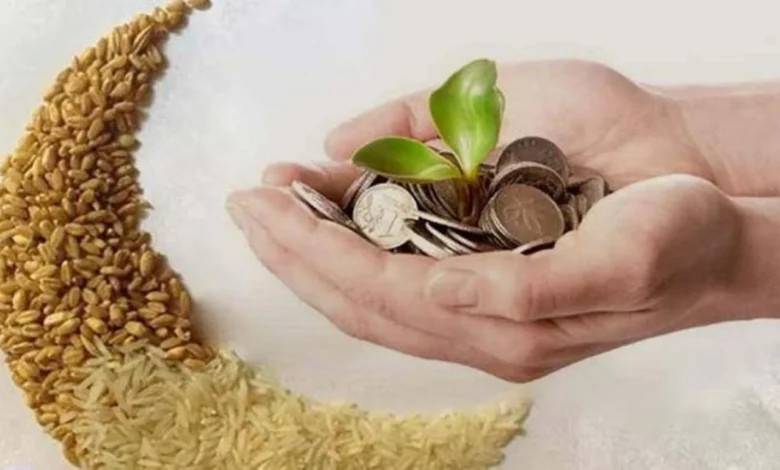 زكاة عيد الفطر 2026 في مصر.. كم قيمتها ومن يستحقها وآخر ميعاد للإخراج