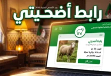 احجز أضحيتك الآن بسهولة.. منصة أضاحي في الجزائر 2026 تفتح الشراء الإلكتروني بخطوات بسيطة
