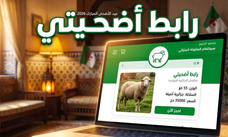 احجز أضحيتك الآن بسهولة.. منصة أضاحي في الجزائر 2026 تفتح الشراء الإلكتروني بخطوات بسيطة