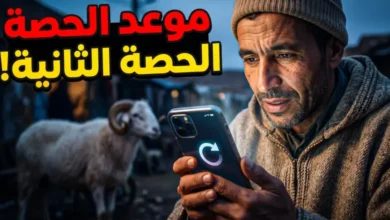 تحديث عاجل.. إغلاق منصة أضحية العيد 2026 وبدء الاستعداد لإطلاق الحصة الثانية من الخدمة بمزايا جديدة وفرص حجز محدودة