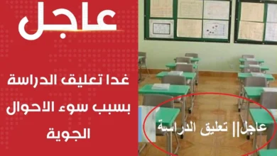 تحذير عاجل من الأرصاد.. أمطار غزيرة وصواعق تضرب 7 مناطق بالمملكة واحتمال تعليق الدراسة اليوم