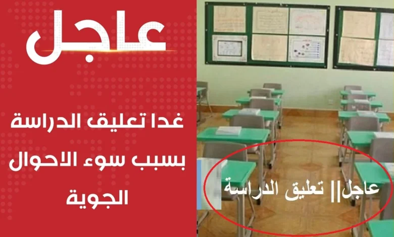 تحذير عاجل من الأرصاد.. أمطار غزيرة وصواعق تضرب 7 مناطق بالمملكة واحتمال تعليق الدراسة اليوم