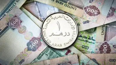 تحديث لحظي.. سعر الدرهم الإماراتي مقابل الجنيه المصري اليوم السبت 25 أبريل 2026