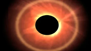 حدث فلكي نادر يقترب.. موعد كسوف الشمس الكلي 2026 والدول العربية المتأثرة