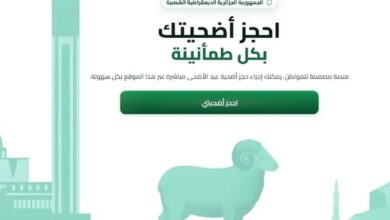 حل رقمي مريح للمواطنين.. منصة أضاحي لحجز كباش عيد الأضحى 2026 في دقائق